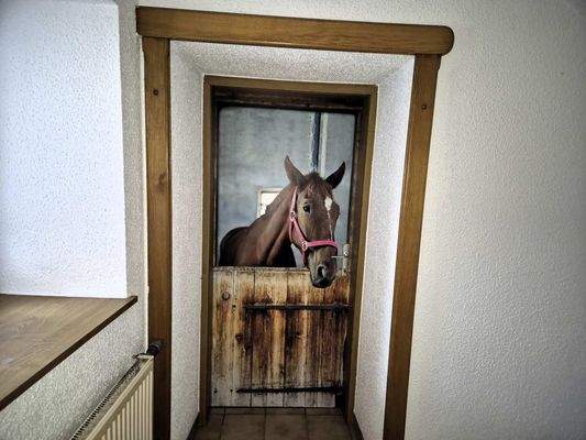 Zugang Wirtschaftstrakt