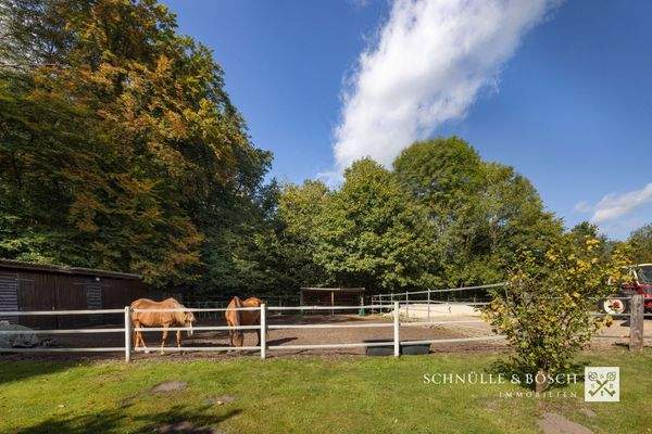 Zwei Paddocks - einmal mit Sand, einmal mit Holzhackschnitzel