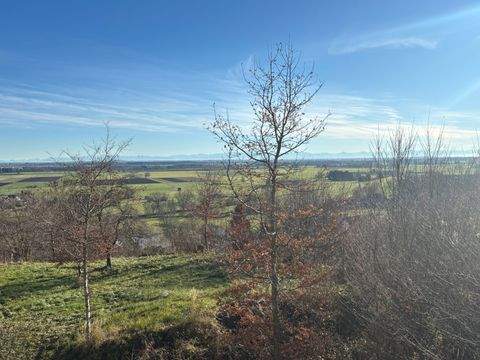 Schwabegg Häuser, Schwabegg Haus mieten 