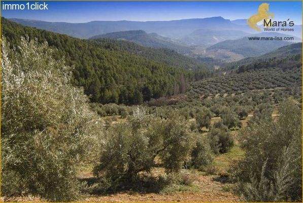 Finca mit Jagdgebiet, Cortijo, zu verkaufen, Provi