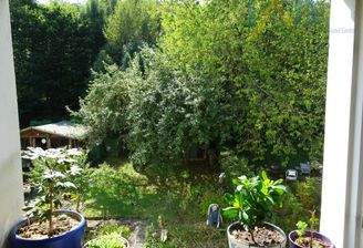 Blick in den Garten