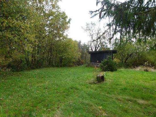 Garten mit Gartenhaus