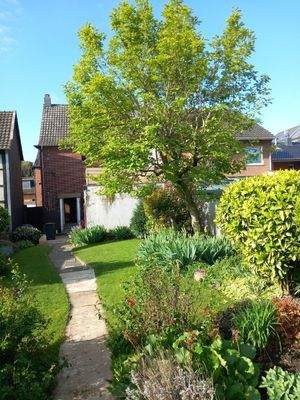 Gartenansicht im Sommer