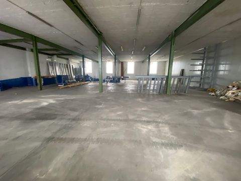 Bamberg Halle, Bamberg Hallenfläche