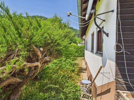 Abgang von Terrasse Richtung Garten auf Südseite