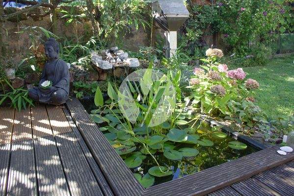 Impression Garten / Sommer