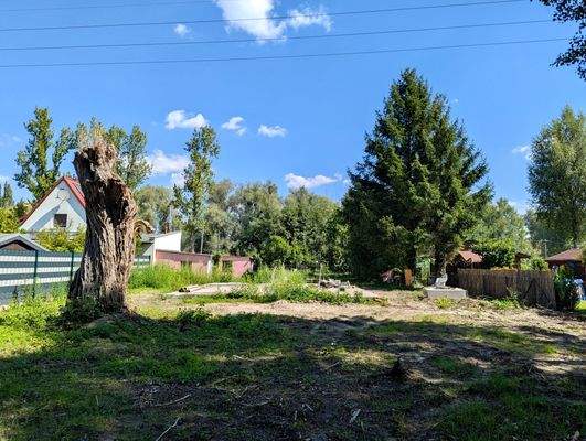 Mittlerer Grundstücksbereich