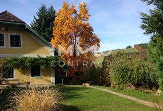 Herbstimpressionen mit Tulpenbaum