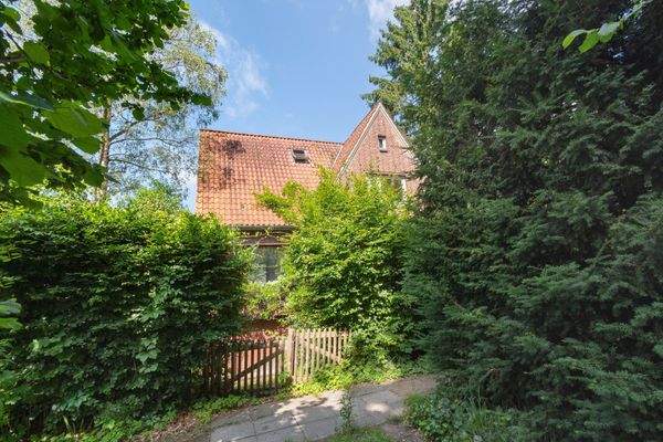 Eingewachsener Eingangsbereich / Garten