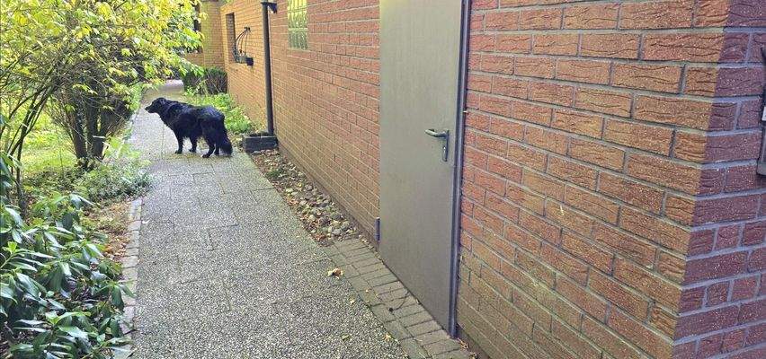 Mietobjekt 1 vorne +Garage