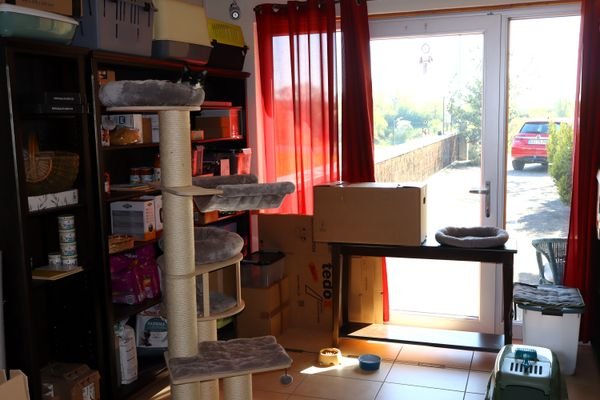 Kleiner Laden