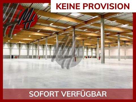 Höhr-Grenzhausen Halle, Höhr-Grenzhausen Hallenfläche