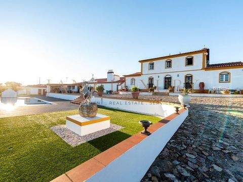 Assunção Bauernhöfe, Landwirtschaft, Assunção Forstwirtschaft