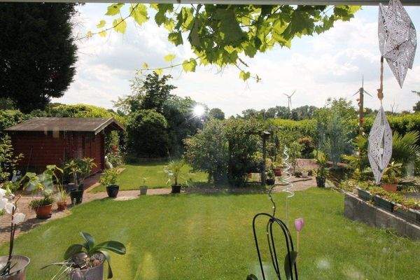 Blick vom Wohnzimmer in den Garten