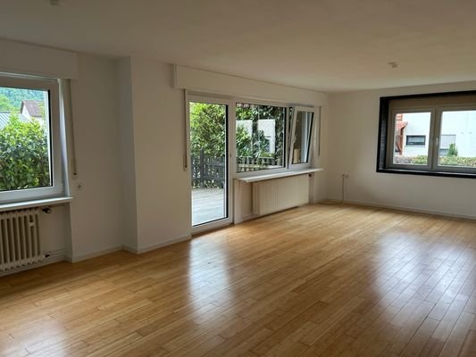 EG - WZ und Terrassentüre