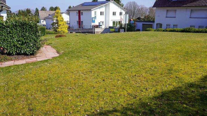 Garten (Straßenseite)