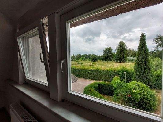 Blick aus dem Arbeitszimmer