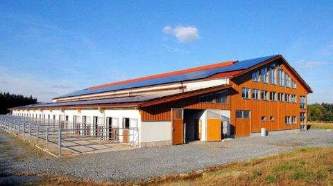 Bayreuth Bauernhöfe, Landwirtschaft, Bayreuth Forstwirtschaft