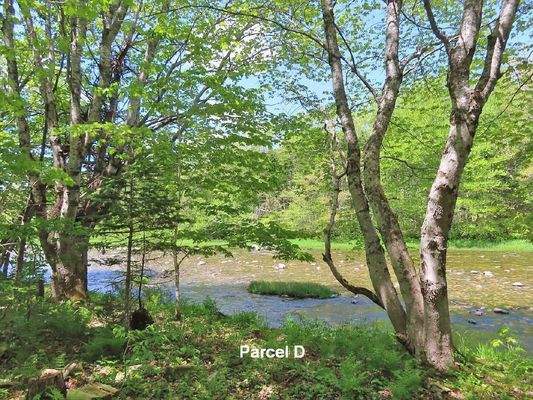 Cape Breton - Traumhaft schöne Naturlage am Middle