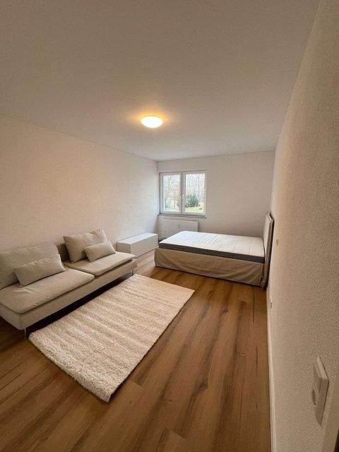 Mannheim Wohnungen, Mannheim Wohnung mieten