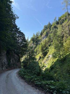 2025-08-20 10.51.50.jpg