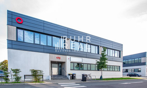 Köln Halle, Köln Hallenfläche