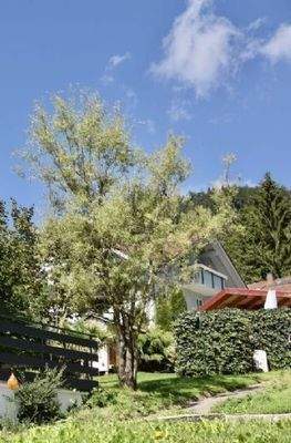 Blick von der Straße zum Haus