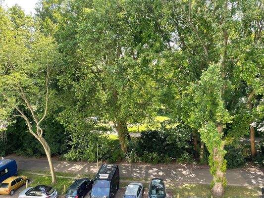 Ausblick Richtung Schrevenpark