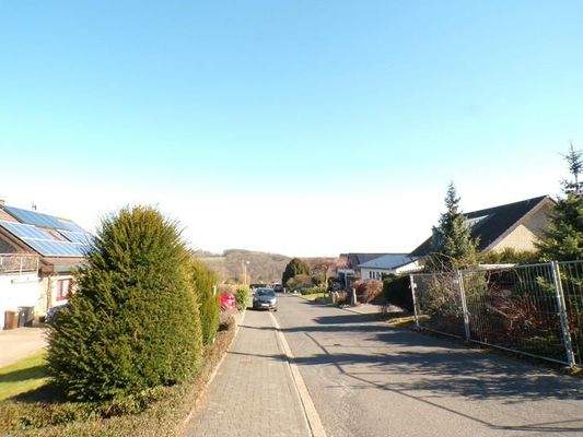 3 Blick Straße links