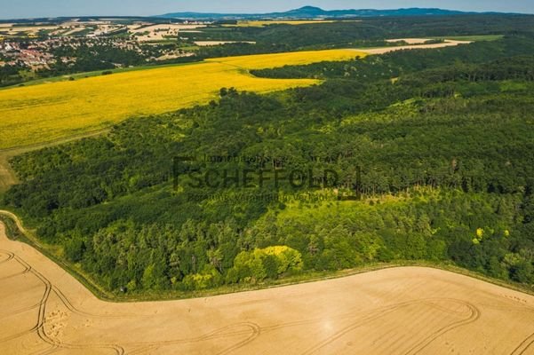 Überblick Waldflächen