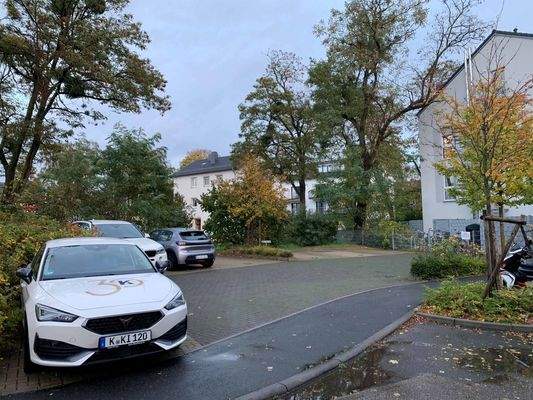 Teilansicht gesamte Parkfläche