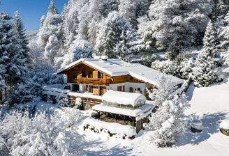 43d74baa-bcbb-42eb-9991-7fe7e6dd7286-2