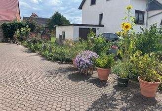 IMG_0691.jpeg
