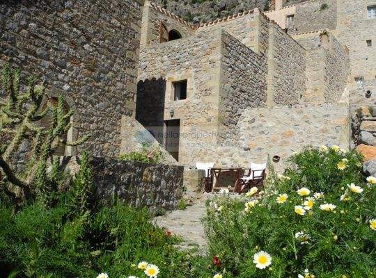 img_88078dca-3453-4419-87a9-3ce7c0c8cfaf