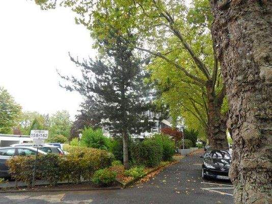 ruhige Wohnlage mit altem Baumbestand