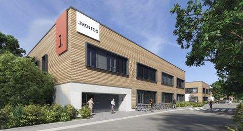 Mannheim Halle, Mannheim Hallenfläche