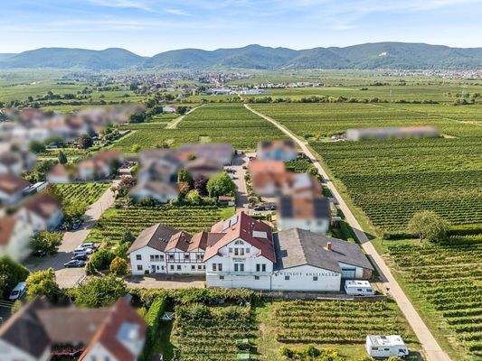 Luftaufnahme Ostseite