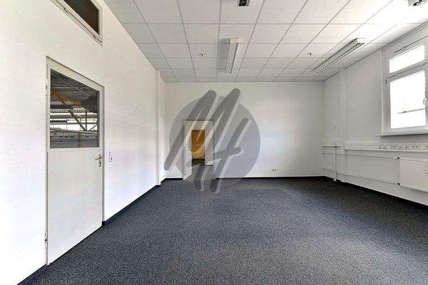 INFOS UNTER: 06171-586000