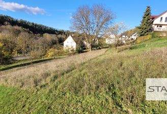 Oberseite, Blick ins Tal.jpg