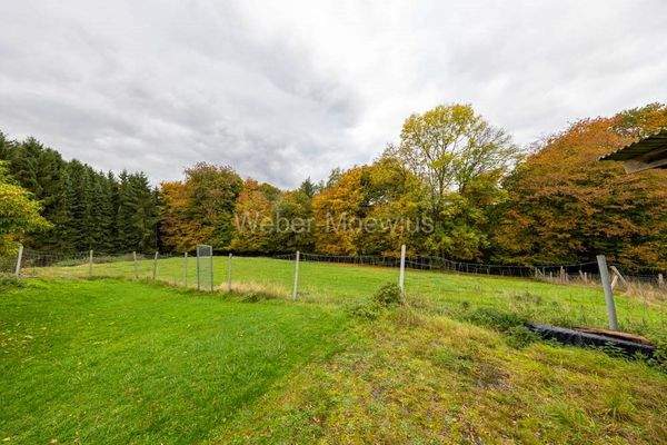 3444 zusätzlich erwerbbare Wiesen- + Waldfläche a