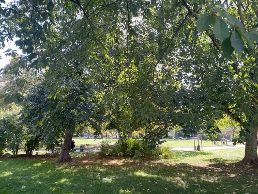 Park im Umfeld