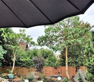 Von der Terrasse über den Teich