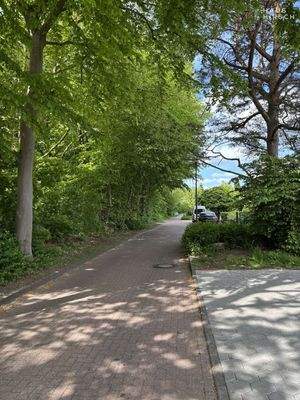 verkehrsberuhigte Straße