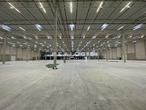 Bielefeld Halle, Bielefeld Hallenfläche