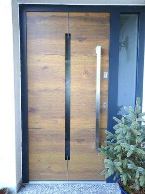 Fingerscan-Eingangstüre