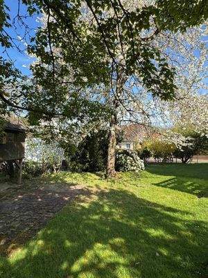 Der grün angelegte Garten