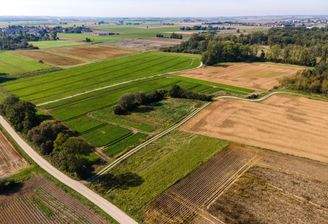 Umfeld Feld 709