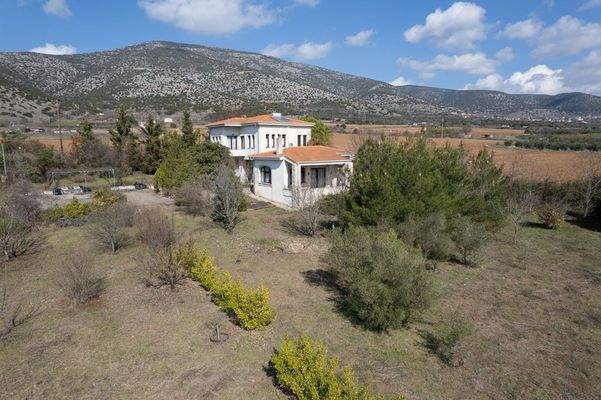 Krinides-Tsiriktsidou 23-02-2024-6.jpg