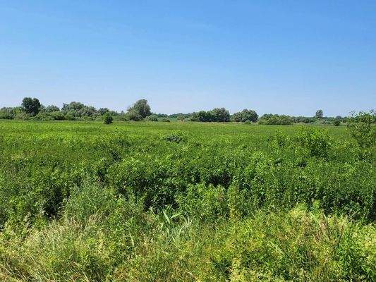 Somogysámson Übersicht 2