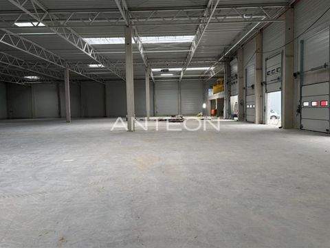 Mülheim an der Ruhr Halle, Mülheim an der Ruhr Hallenfläche